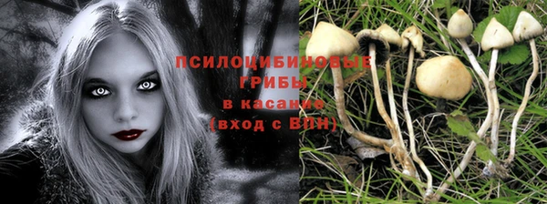 экстази Абаза